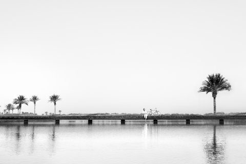 Saadiyat Island, Abu Dhabi, संयुक्त अरब अमीरात में ज़मीन, 470 वर्ग मीटर, संख्या 716173 - फ़ोटो 13