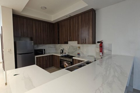 阿联酋 Ras Al Khaimah 待售 : 2 卧, 235 平方米 , 编号734684 - 照片 8
