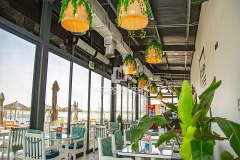 Byt v Al Hamra Village, Ras Al Khaimah, SAE 1 ložnice, 85 m² Č.: 664093 - fotografie 10