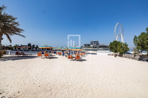 阿联酋 Dubai Jumeirah Beach Residence 待租 : 1 卧, 101.26 平方米 , 编号745698 - 照片 12