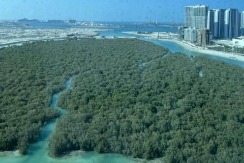 Apartment sa Al Reem Island, Abu Dhabi, UAE 1 silid-tulugan, 88 sq.m. № 594160 - larawan 3