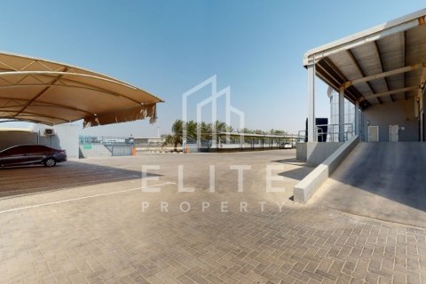Warehouse in Jebel Ali, Dubai, UAE 5838 sq.m. № 620234 - photo 5