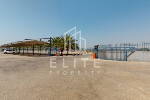 Warehouse in Jebel Ali, Dubai, UAE 5838 sq.m. № 620234 - photo 4
