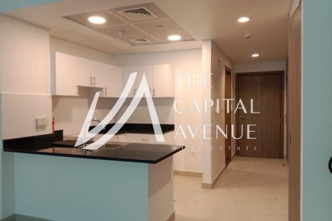 Dzīvoklis Saadiyat Island, Abu Dhabijā, AAE 1 istaba, 49.33 m2 Nr. 739429 - attēls 3