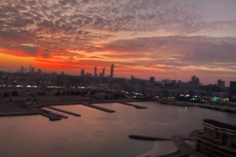 阿联酋 Abu Dhabi Al Reem Island 待售 : 2 卧, 142 平方米 , 编号594794 - 照片 21