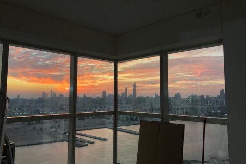 阿联酋 Abu Dhabi Al Reem Island 待售 : 2 卧, 142 平方米 , 编号594794 - 照片 6