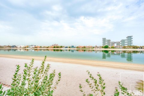 Palm Jumeirah, Dubai, UAE의 임대용 빌라 침실 6개, 650제곱미터 번호 646427 - 사진 7