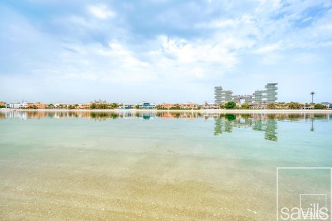 Palm Jumeirah, Dubai, UAE의 임대용 빌라 침실 6개, 650제곱미터 번호 646427 - 사진 9