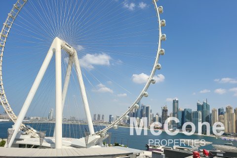 Byt v Bluewaters, Dubai, SAE 3 ložnice, 195.47 m² Č.: 586840 - fotografie 12