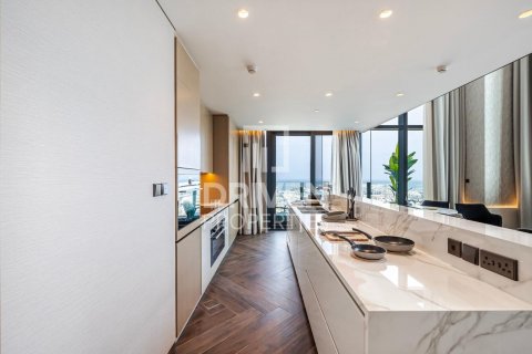 阿联酋 Dubai Zabeel 待租 : 2 卧, 229 平方米 , 编号603405 - 照片 12