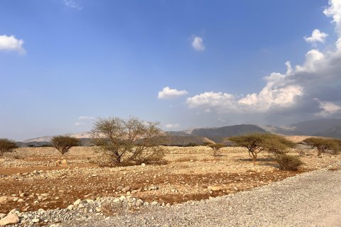 قطعة أرض للبيع في Seih Al Harf، رأس الخيمة، الإمارات العربية المتحدة 883 متر مربع ، رقم 730681 - صورة 3