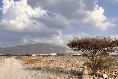 قطعة أرض للبيع في Seih Al Harf، رأس الخيمة، الإمارات العربية المتحدة 883 متر مربع ، رقم 730681 - صورة 6