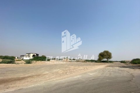 阿联酋 Ras Al Khaimah Al Kharran 待售 : 900 平方米 , 编号730682 - 照片 10