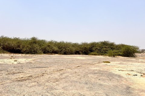 阿联酋 Ras Al Khaimah Al Kharran 待售 : 900 平方米 , 编号730682 - 照片 2