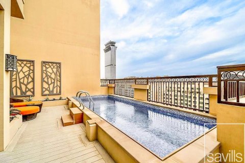 פנטהאוס למכירה ב Palm Jumeirah, Dubai, איחוד האמירויות  4 חדרי שינה, 456 מ"ר, מספר 680850 - תמונה 12