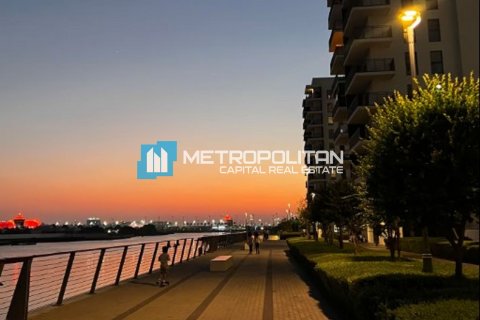 阿联酋 Abu Dhabi Yas Island 待租 : 1 卧, 63.9 平方米 , 编号685690 - 照片 26