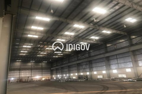 Jebel Ali, Dubai, संयुक्त अरब अमीरात में गोदाम, 6131.6 वर्ग मीटर, संख्या 737029 - फ़ोटो 5
