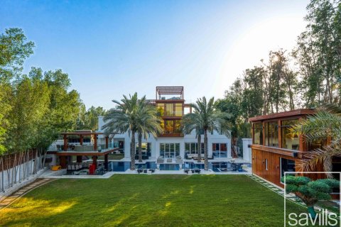 Üürile anda villa asukohaga Al Barari, Dubai, AÜE: 7 magamistoaga, 2392.44 m² Nr 761223 - pilt 21