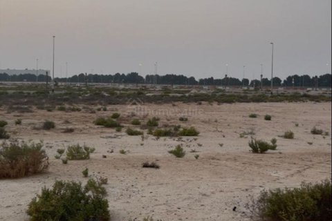 Müüa maa asukohaga Jebel Ali, Dubai, AÜE: 1081 m² Nr 722521 - pilt 10