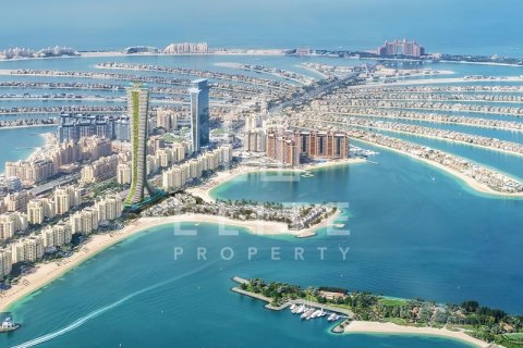 Palm Jumeirah, Dubai, संयुक्त अरब अमीरात में अपार्टमेंट, 5 बेडरूम, 716 वर्ग मीटर, संख्या 620121 - फ़ोटो 17