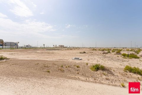 زمین برای فروش در Jebel Ali، Dubai، امارات متحده عربی 915 متر مربع ، شماره 703913 - تصویر 8