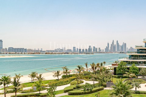 阿联酋 Dubai Palm Jumeirah 待租 : 4 卧, 660.07581500 平方米 , 编号583588 - 照片 16
