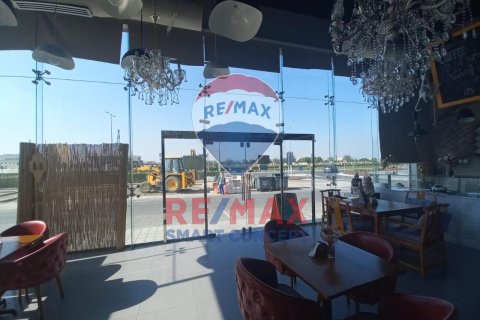 Khalifa City, Abu Dhabi, UAE의 임대용 빌라 1500제곱미터 번호 570245 - 사진 16