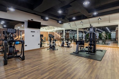 Huvila Al Barsha, Dubai, Arabiemiraatit 4 makuuhuonetta, 339 m2 № 684616 - kuva 18