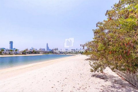 Villa te koop in Palm Jumeirah, Dubai, VAE 4 slaapkamers, 465 vr.m., nr 592208 - foto 18