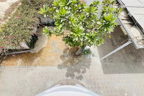 Villa uthyres i Umm Suqeim, Dubai, UAE 4 sovrum, 371.6 kvm Nr. 662065 - fotografi 38