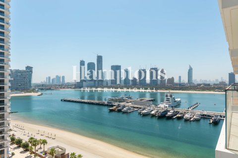 Byt v Dubai Harbour, SAE 2 ložnice, 117.98681000 m² Č.: 719394 - fotografie 10