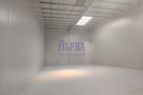 Warehouse til leje i Ras Al Khaimah, UAE 500 kvm № 680499 - foto 6