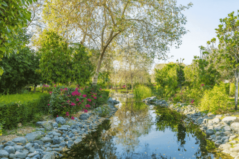 Lakás itt: Al Barari, Dubai, EAE, 2 hálószoba, 197 m², azonosító: 714544 - fénykép 23