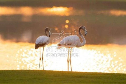 Byt v Al Zorah, Ajman, SAE 1 ložnice, 67.4 m² Č.: 595390 - fotografie 19