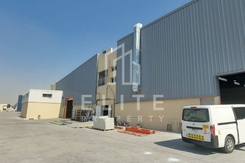Warehouse in Dubai Investment Park, UAE 8262 sq.m. № 620256 - photo 11