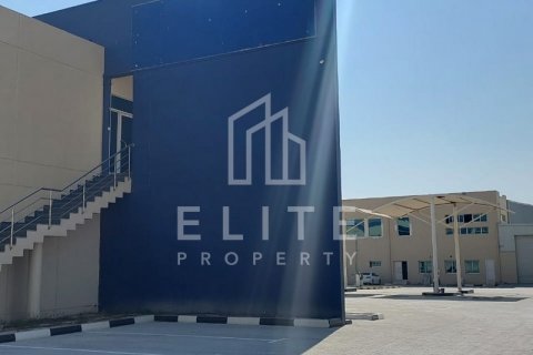 Warehouse in Dubai Investment Park, UAE 8262 sq.m. № 620256 - photo 4