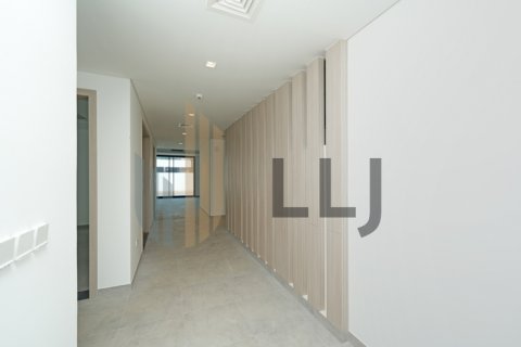 Vila na Saadiyat Island, Abu Dhabi, SAE 4 ložnice, 538.8 m² Č.: 572704 - fotografie 18
