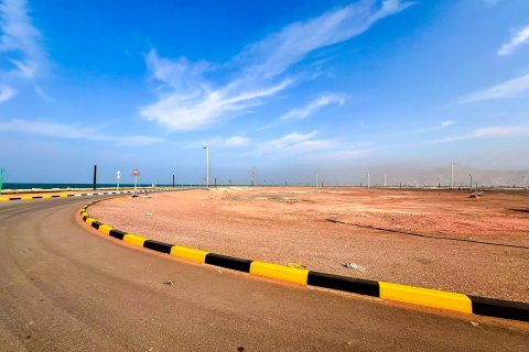 Tanah di Al Mairid, Ras Al Khaimah, UEA 450 m2 nomor 656599 - foto 8