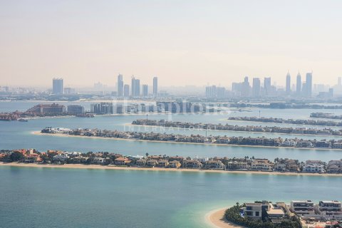 Palm Jumeirah, Dubai, UAE의 임대용 아파트 침실 4개, 506.41425300제곱미터 번호 595251 - 사진 20
