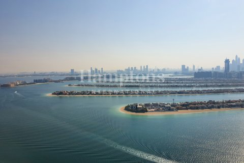 Palm Jumeirah, Dubai, UAE의 임대용 아파트 침실 4개, 506.41425300제곱미터 번호 595251 - 사진 13