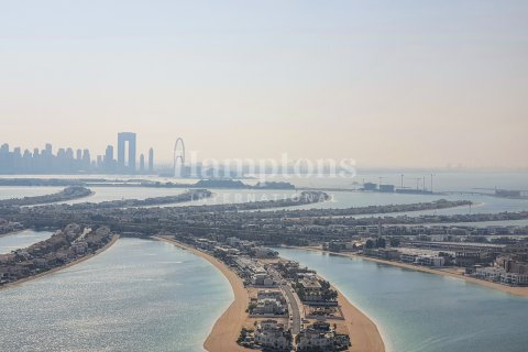 Palm Jumeirah, Dubai, UAE의 임대용 아파트 침실 4개, 506.41425300제곱미터 번호 595251 - 사진 19