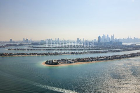 Palm Jumeirah, Dubai, UAE의 임대용 아파트 침실 4개, 506.41425300제곱미터 번호 595251 - 사진 21