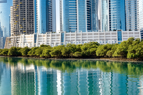 Apartment til salg i Al Reem Island, Abu Dhabi, UAE 2 soveværelser, 142.61 kvm № 764153 - foto 11