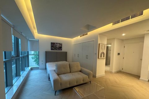 阿联酋 Dubai Downtown Dubai (Downtown Burj Dubai) 公寓  1 房, 43.52 平方米 , 编号 764203