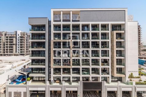 Byt v Meydan, Dubai, SAE 1 pokoj, 33.72 m² Č.: 762163 - fotografie 8