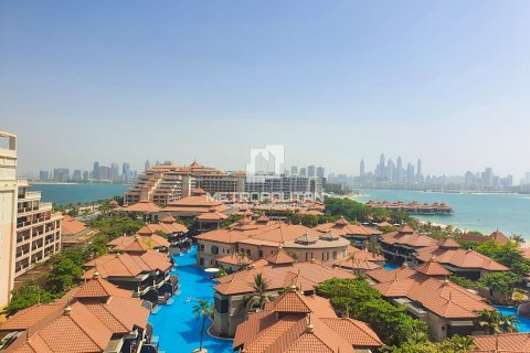 阿联酋 Dubai Palm Jumeirah 待售 : 50 平方米 , 编号592042 - 照片 10