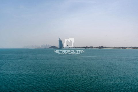 阿联酋 Dubai Palm Jumeirah 待售 : 50 平方米 , 编号592042 - 照片 24