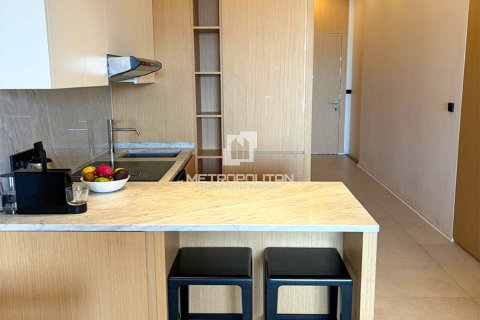 阿联酋 Dubai Palm Jumeirah 待售 : 50 平方米 , 编号592042 - 照片 13