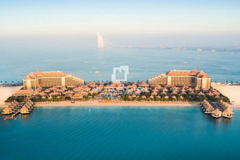 阿联酋 Dubai Palm Jumeirah 待售 : 50 平方米 , 编号592042 - 照片 23