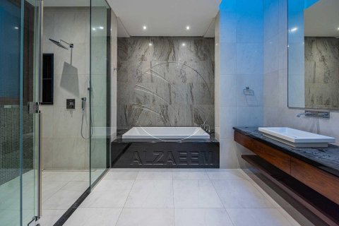 Vila na Saadiyat Island, Abu Dhabi, SAE 7 ložnice, 1300 m² Č.: 615393 - fotografie 24